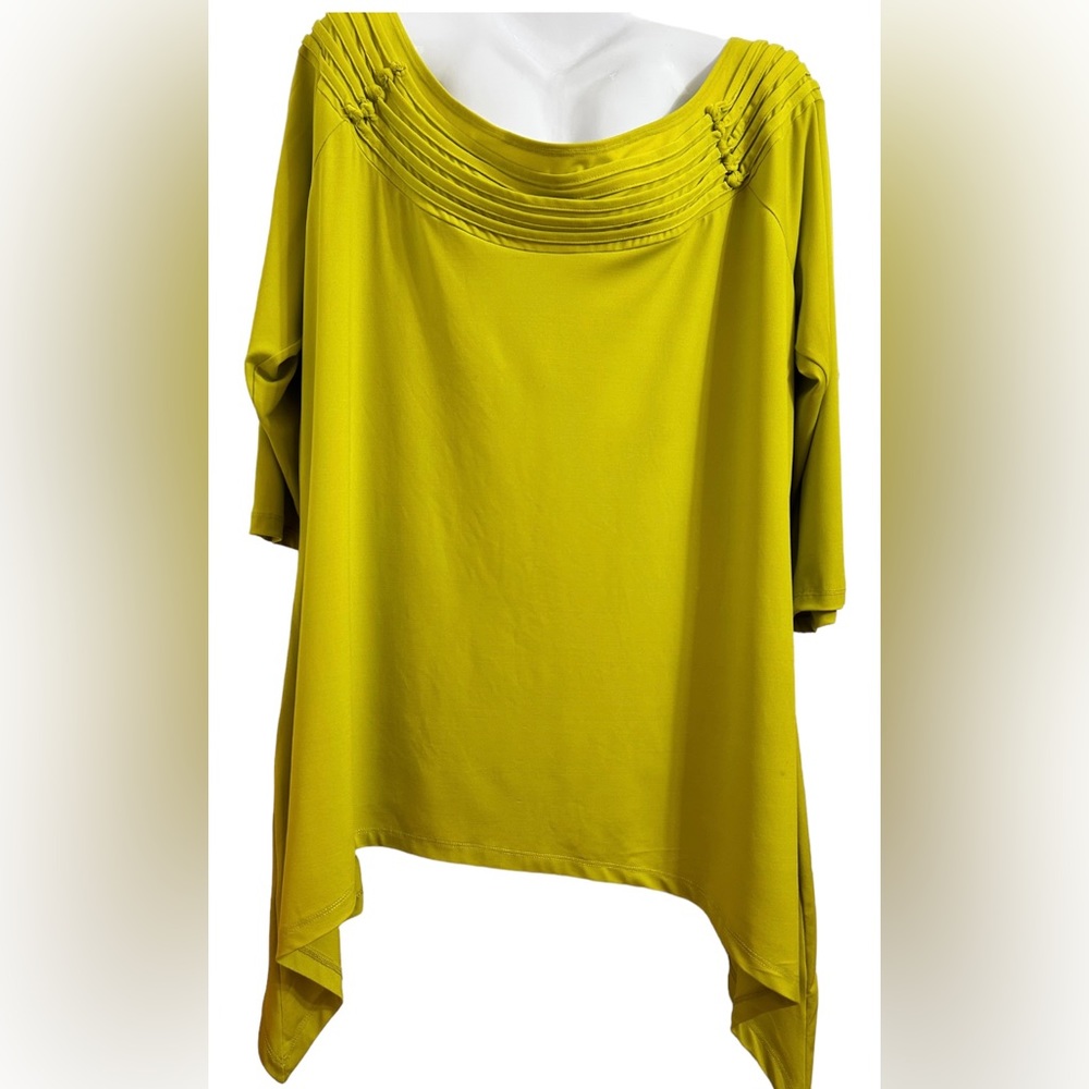 Ashley Steward Pullover Tunic